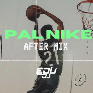 PalNike (After Mix)
