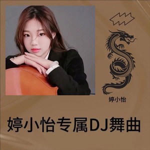 车载dj重低音劲爆舞曲 (婷小怡 remix|DJ版)