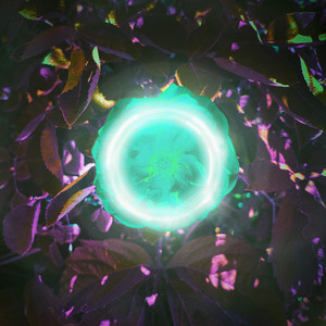 Icarus Wings (Explicit)