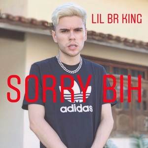 Sorry Bih