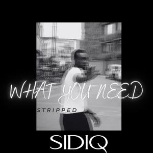 What You Need (stripped version)