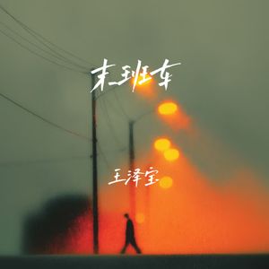 末班车 (DJ版)