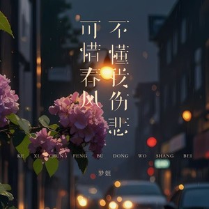 可惜春风不懂我伤悲-梦姐
