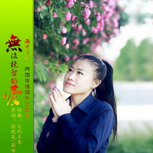 无法挽留的爱封面