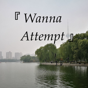 Wanna Attempt