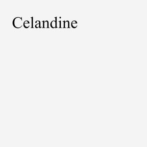 Celandine