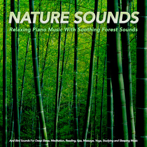 Nature Sounds: Relaxing Piano Music With Soothing Forest Sounds and Bird Sounds For Deep Sleep, Meditation, Reading, Spa, Massage, Yoga, Studying and Sleeping Music