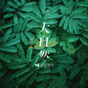 林中漫步