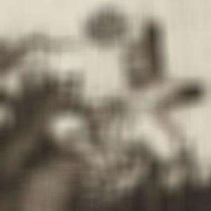 Demon Groove (Explicit)
