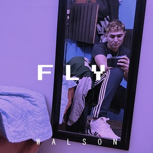 Fly