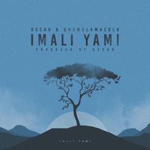 Imali Yami (feat. Qhawelamazulu)