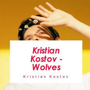 Kristian Kostov - Wolves（Cover：Selena Gomez）