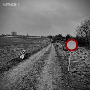 Adversity