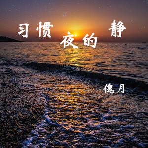 习惯黑夜的静