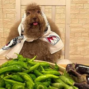 hi wassup (Explicit)