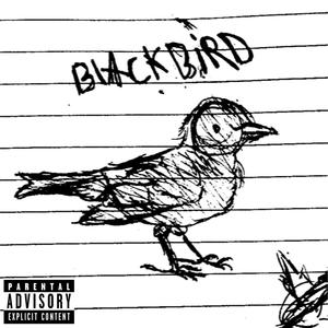 BLACKBIRD (Explicit)