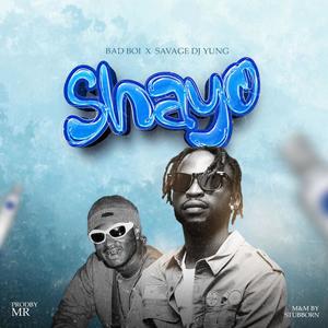 Shayo (feat. Savage Dj Yung)