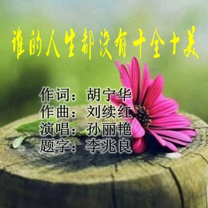 谁的人生都没有十全十美 (伴奏)