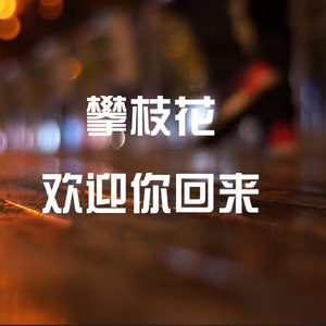 攀枝花欢迎你回来