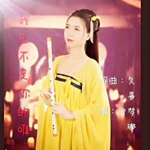 我已不是你的唯一 伴奏
