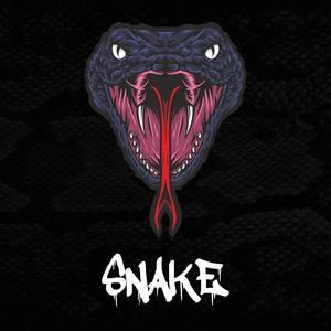 SNAKE (Explicit)