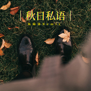 写得出的写不出的 (DJ版)