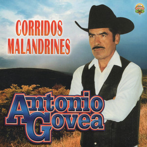 Corridos Malandrines