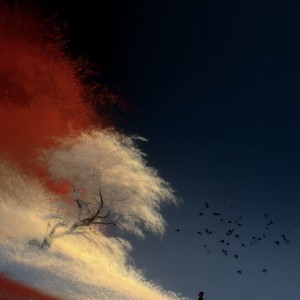 为爱追寻（飞花烟 散落在人间）