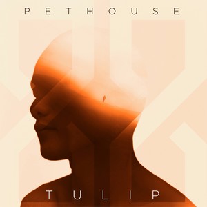 Tulip on a Winters Day