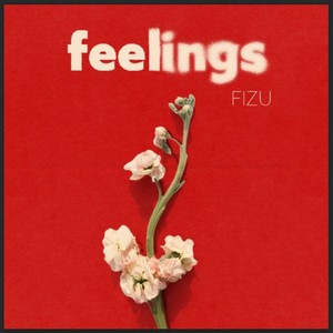 Feelings