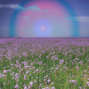 Asshole (feat. 3evie Wonder, Brusho & Earl2wavy) (Explicit)