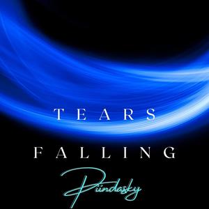 Tears Falling (Explicit)