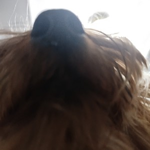 Increiblemente Tranquilo