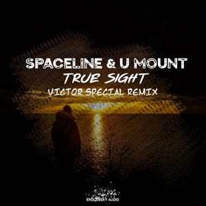 True Sight (Victor Special Radio Edit Remix)