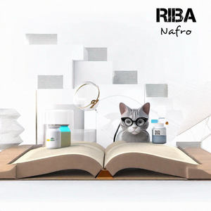 RIBA (Explicit)