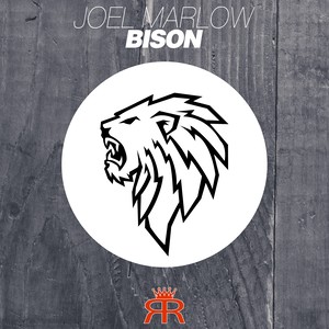 Bison