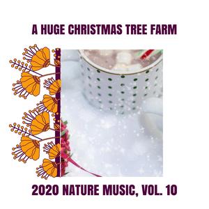 Thunder Noise to Keep Your Company