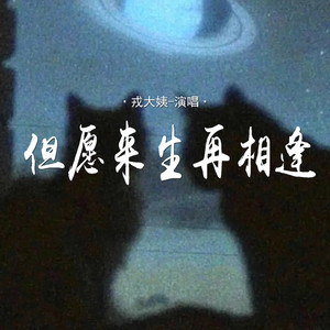 但愿来生再相逢