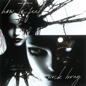 how to feel (feat. lul trouble) (Explicit)