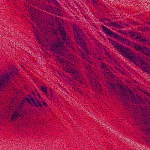 bloody teeth (Explicit)