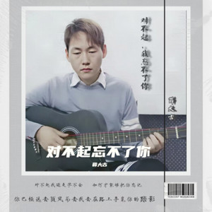 对不起忘不了你 (温柔版)