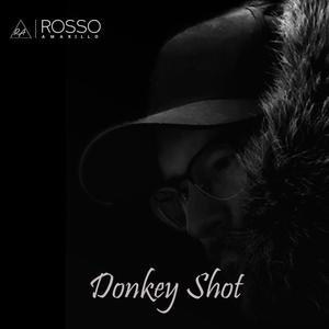 Donkey Shot (Explicit)