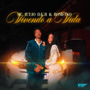 Vivendo a Vida