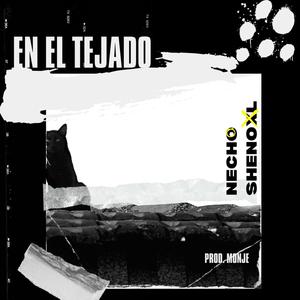 En el tejado (feat. Shenoxl)