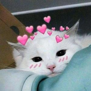 rick n' morty (feat. Madisyn Nichols)