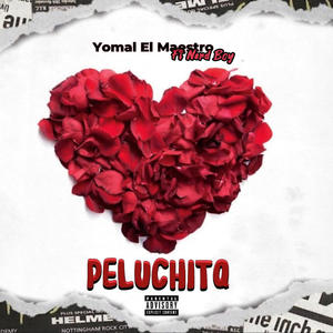 Peluchita (feat. Nerd boy) (Explicit)