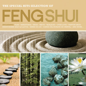 Feng Shui: The Special Hits Selection