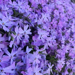 In My Feelings (prod. 8ROKEBOY)