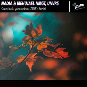 Cosechas lo que siembras (Remix)