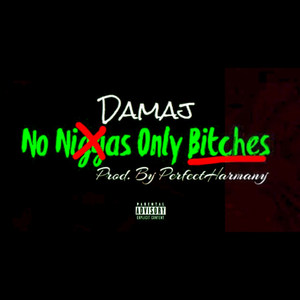 No Niggas Only *****es (Explicit)